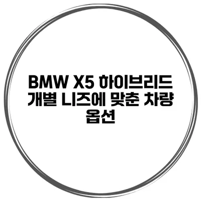 BMW X5 하이브리드 개별 니즈에 맞춘 차량 옵션