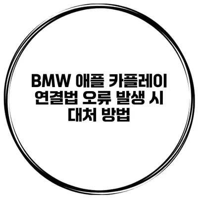 BMW 애플 카플레이 연결법 오류 발생 시 대처 방법