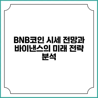 BNB코인 시세 전망과 바이낸스의 미래 전략 분석