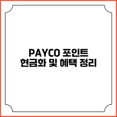 PAYCO 포인트 현금화 및 혜택 정리