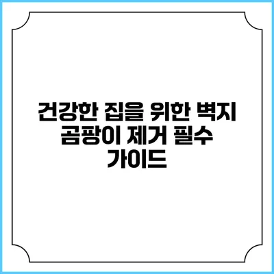 건강한 집을 위한 벽지 곰팡이 제거 필수 가이드