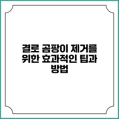 결로 곰팡이 제거를 위한 효과적인 팁과 방법