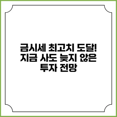 금시세 최고치 도달! 지금 사도 늦지 않은 투자 전망