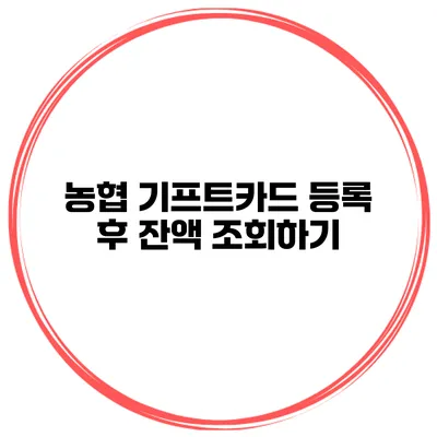 농협 기프트카드 등록 후 잔액 조회하기