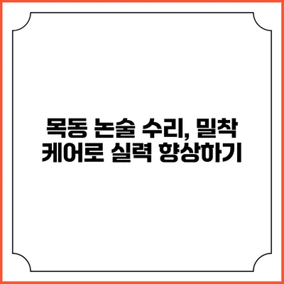 목동 논술 수리, 밀착 케어로 실력 향상하기