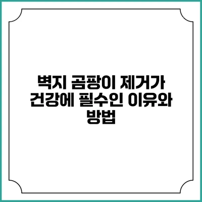 벽지 곰팡이 제거가 건강에 필수인 이유와 방법