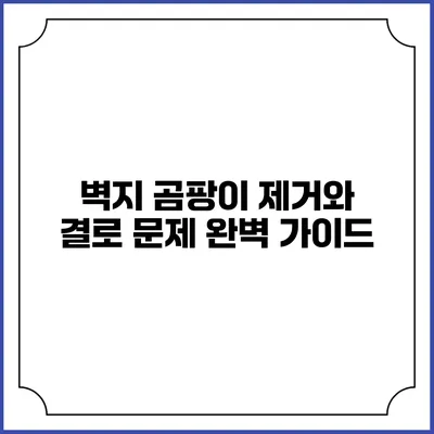 벽지 곰팡이 제거와 결로 문제 완벽 가이드