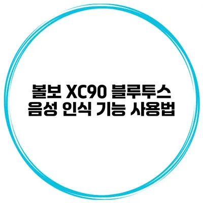 볼보 XC90 블루투스 음성 인식 기능 사용법