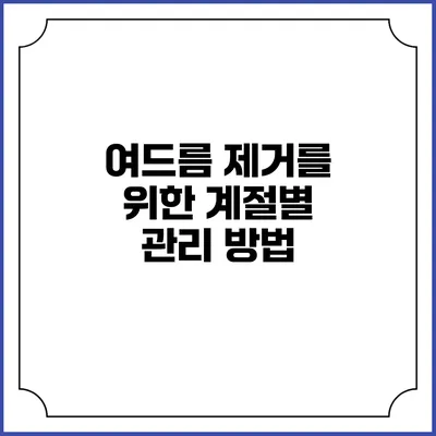 여드름 제거를 위한 계절별 관리 방법