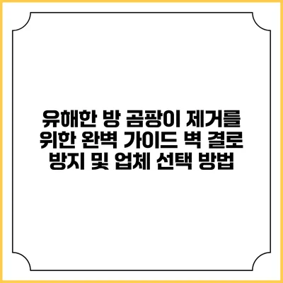 유해한 방 곰팡이 제거를 위한 완벽 가이드: 벽 결로 방지 및 업체 선택 방법