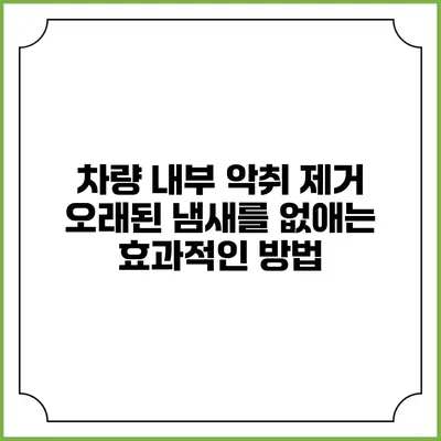 차량 내부 악취 제거: 오래된 냄새를 없애는 효과적인 방법