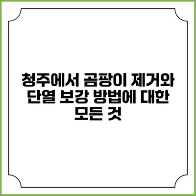 청주에서 곰팡이 제거와 단열 보강 방법에 대한 모든 것