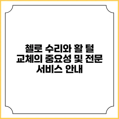 첼로 수리와 활 털 교체의 중요성 및 전문 서비스 안내