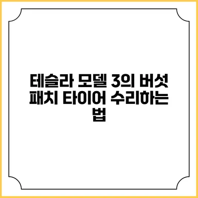 테슬라 모델 3의 버섯 패치 타이어 수리하는 법