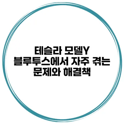 테슬라 모델Y 블루투스에서 자주 겪는 문제와 해결책