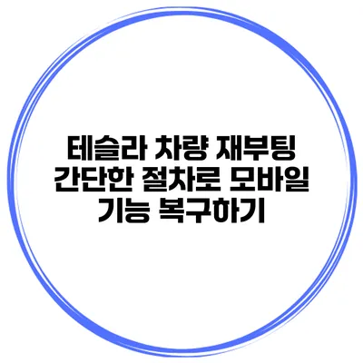 테슬라 차량 재부팅 간단한 절차로 모바일 기능 복구하기