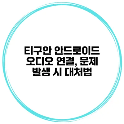 티구안 안드로이드 오디오 연결, 문제 발생 시 대처법