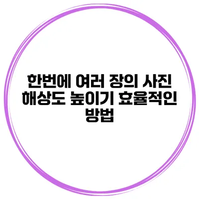 한번에 여러 장의 사진 해상도 높이기 효율적인 방법